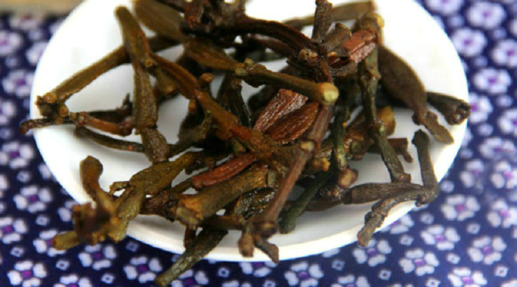 茂连螃蟹脚(景迈古树茶寄生药茶)